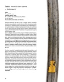 Najcenniejsze tom 4. Szable polskie i europejskie. XVI-XX wiek.